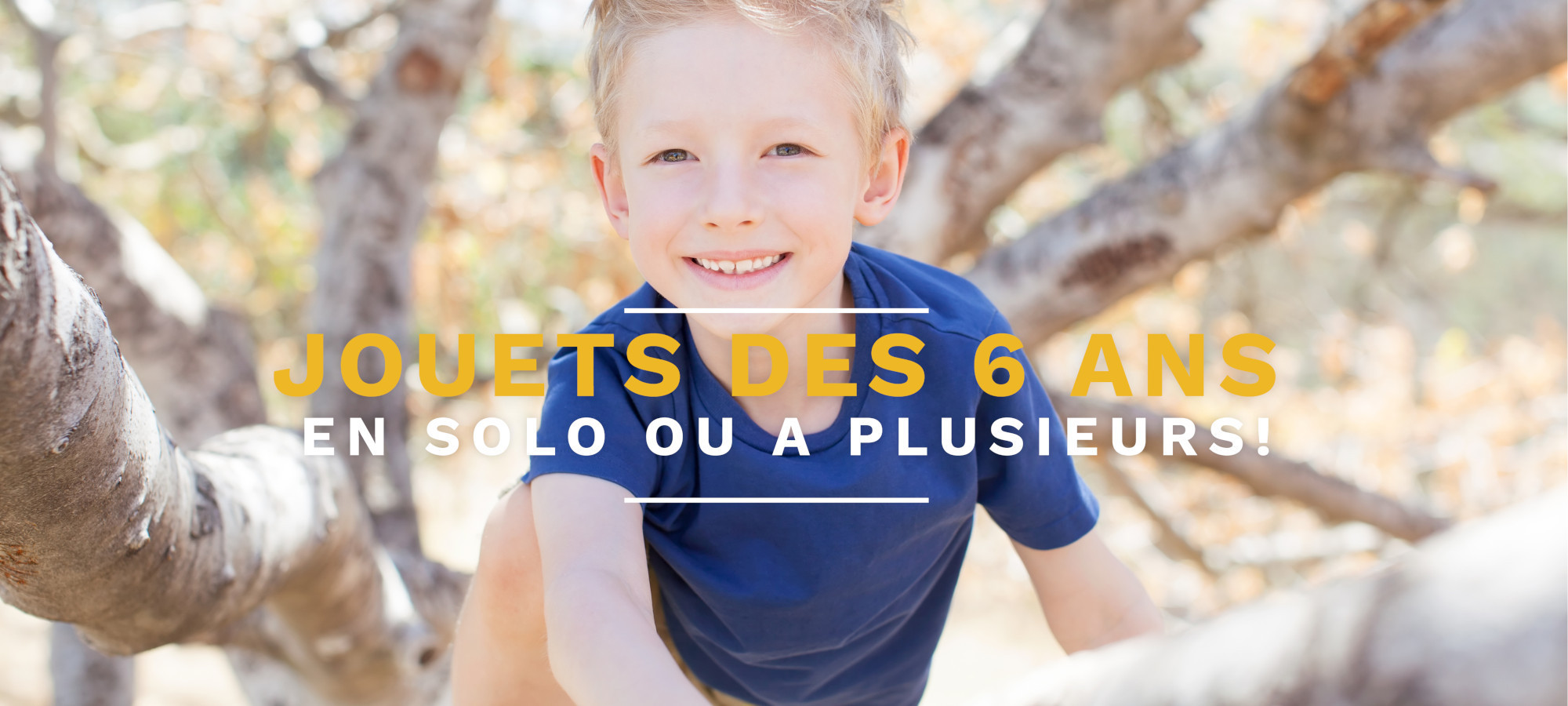 Jouets en bois : 6 ans